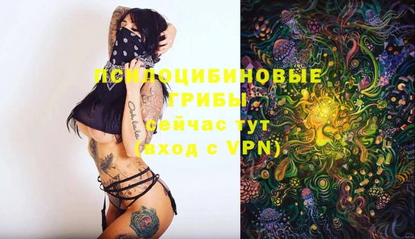 кокаин Тавда