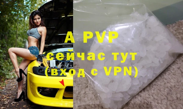 сатива Богданович