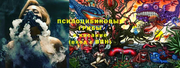 гидропоника Богородск